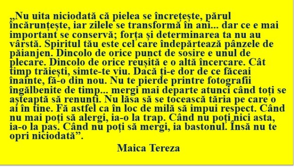 Maica Tereza 2